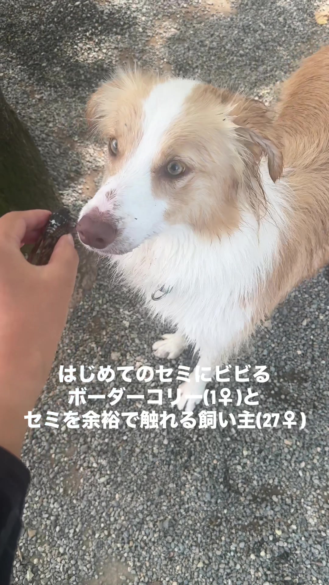 @陣在ほのか