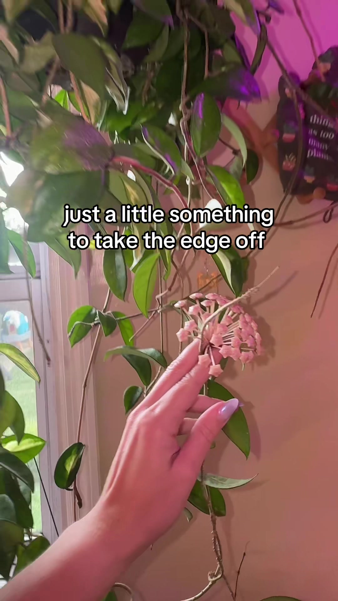 @Pretty Plants Nashville