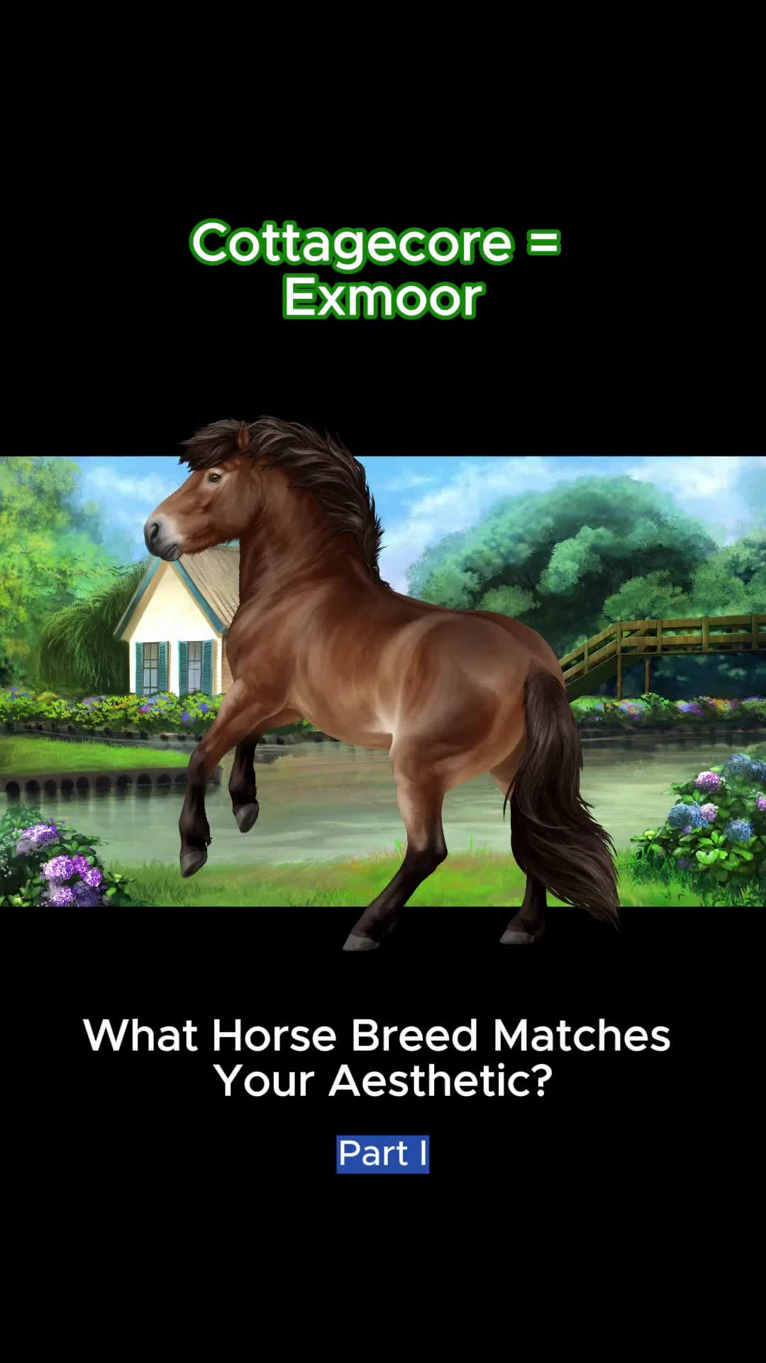 @Horse Reality