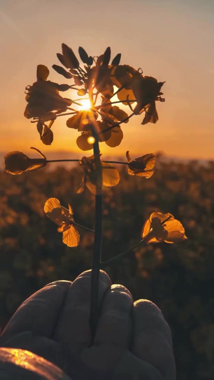 @Sven | Cinematic Atmosphere 📸