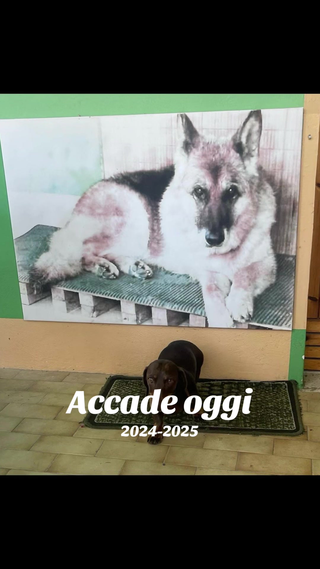 @Luca Guiducci