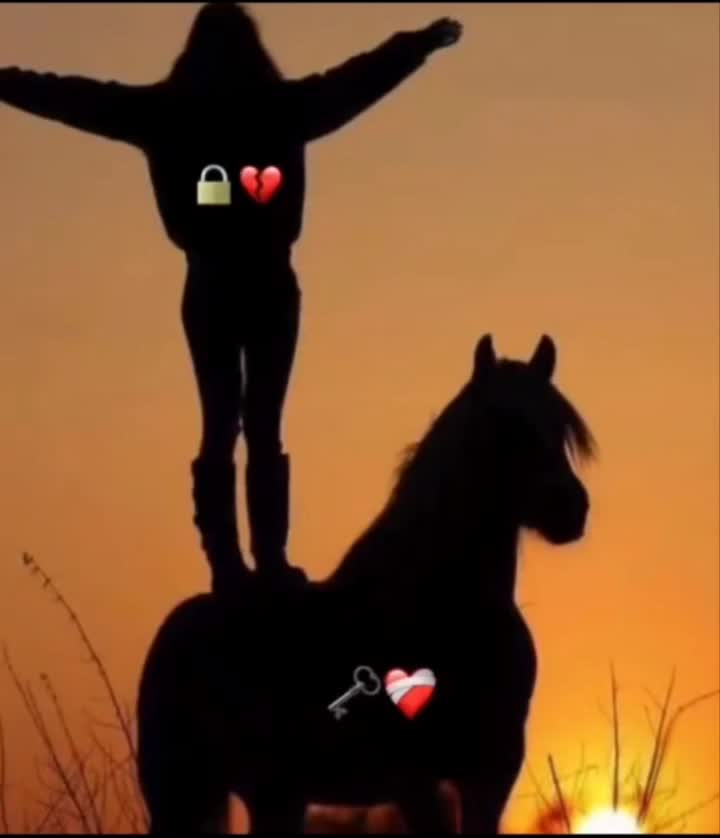 @Luna