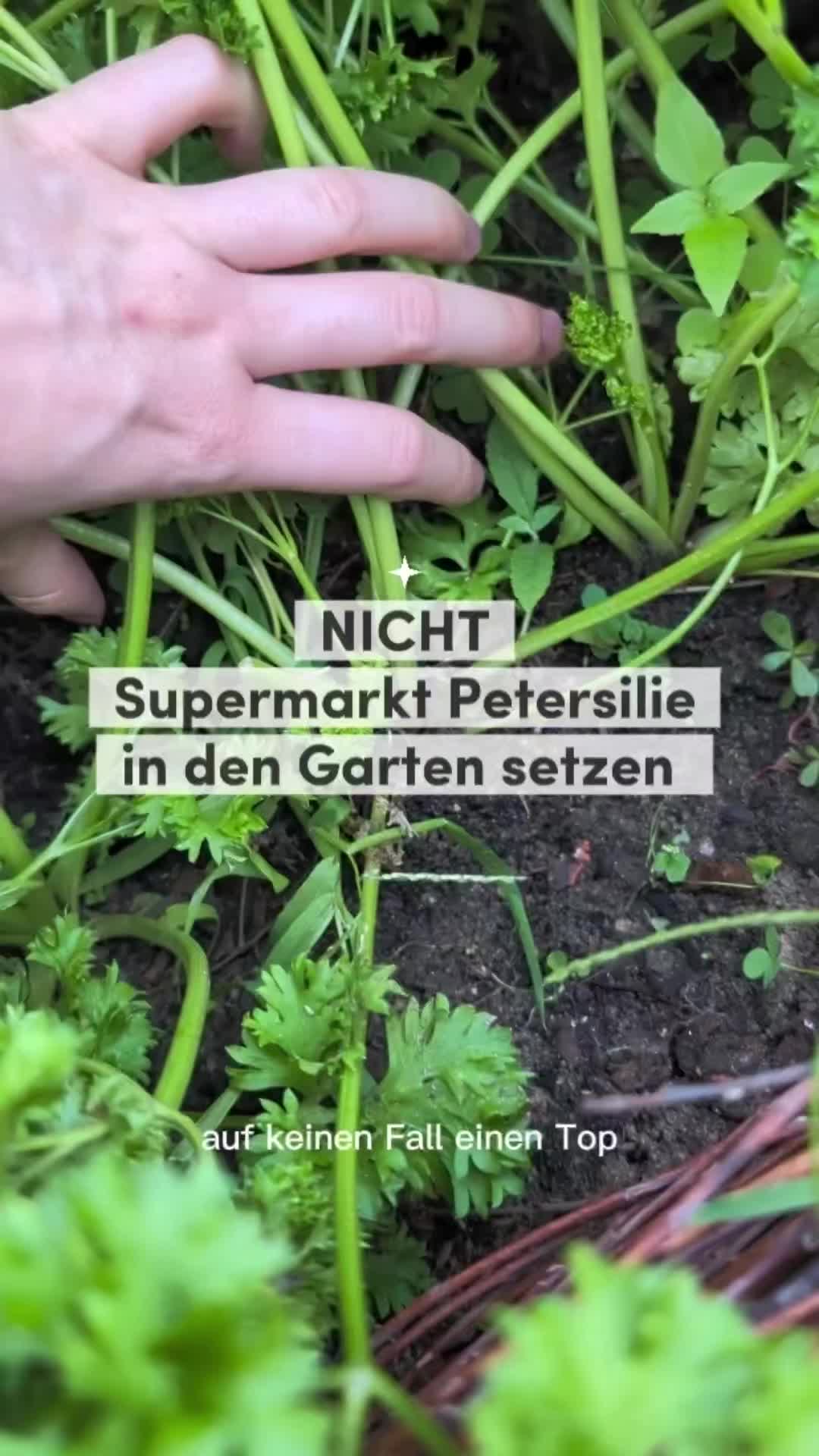 @ErnteExperte