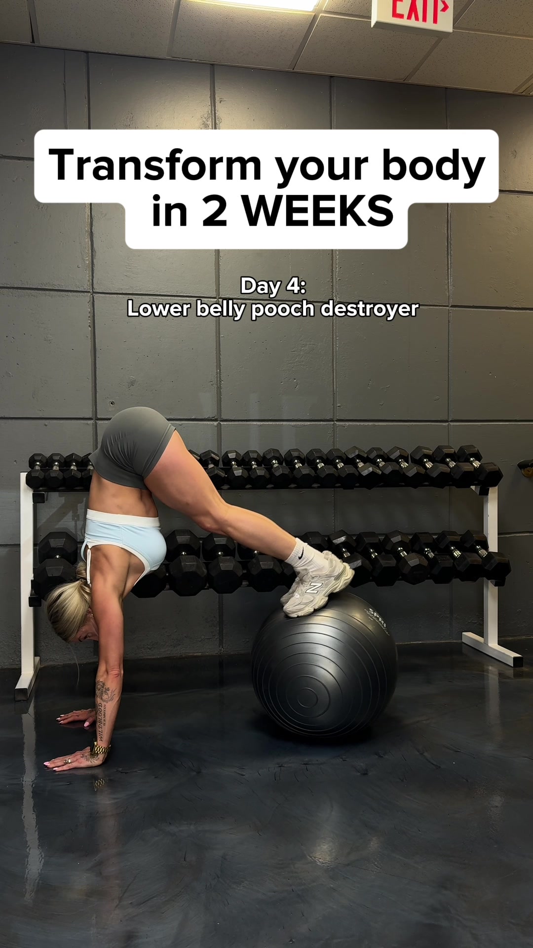 @TaylorGangLifeFitness