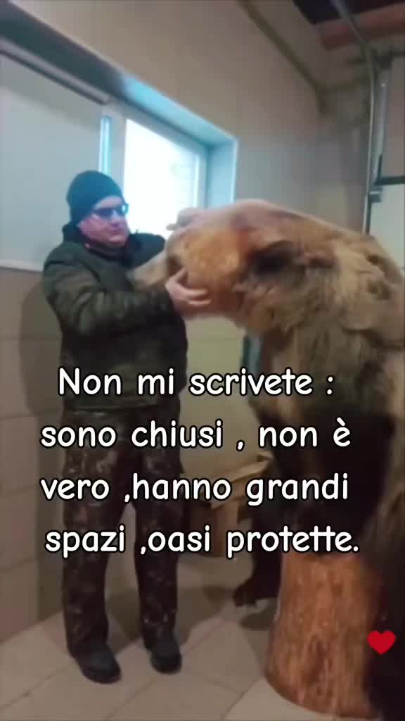 @VENNE DAL FREDDO 🥶