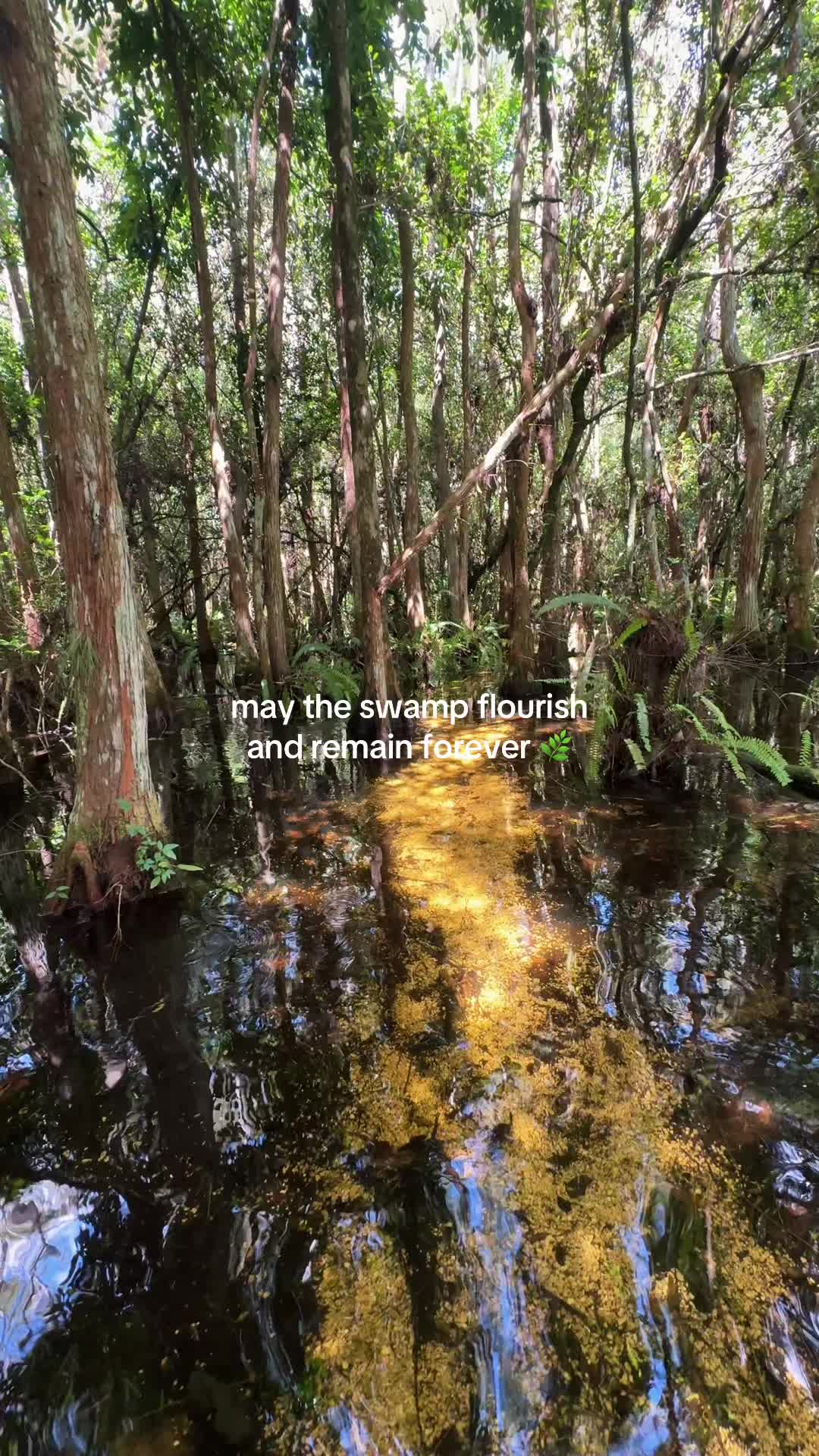 @FLSwimPaddleHike
