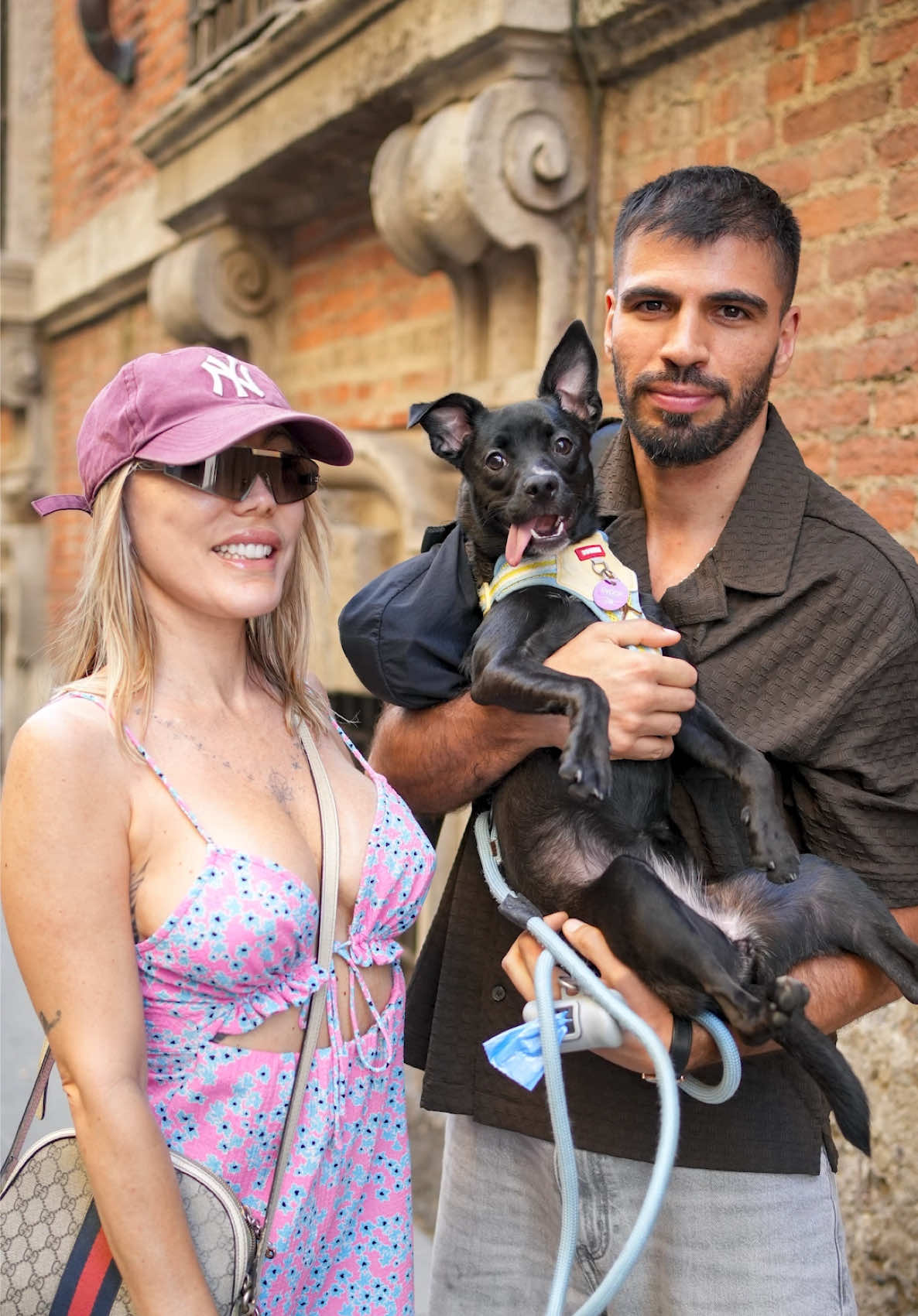 @Doggodaiily
