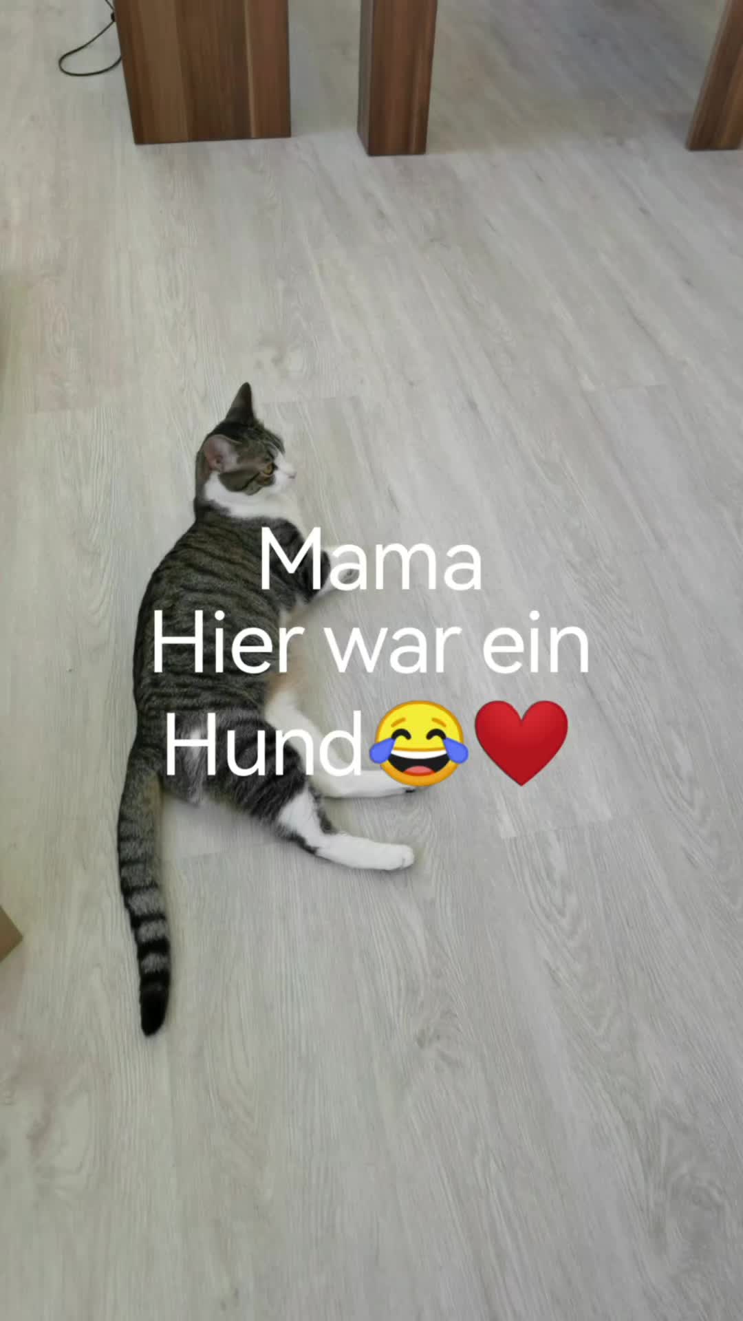 @juli🇩🇪🇺🇸🇷🇺
