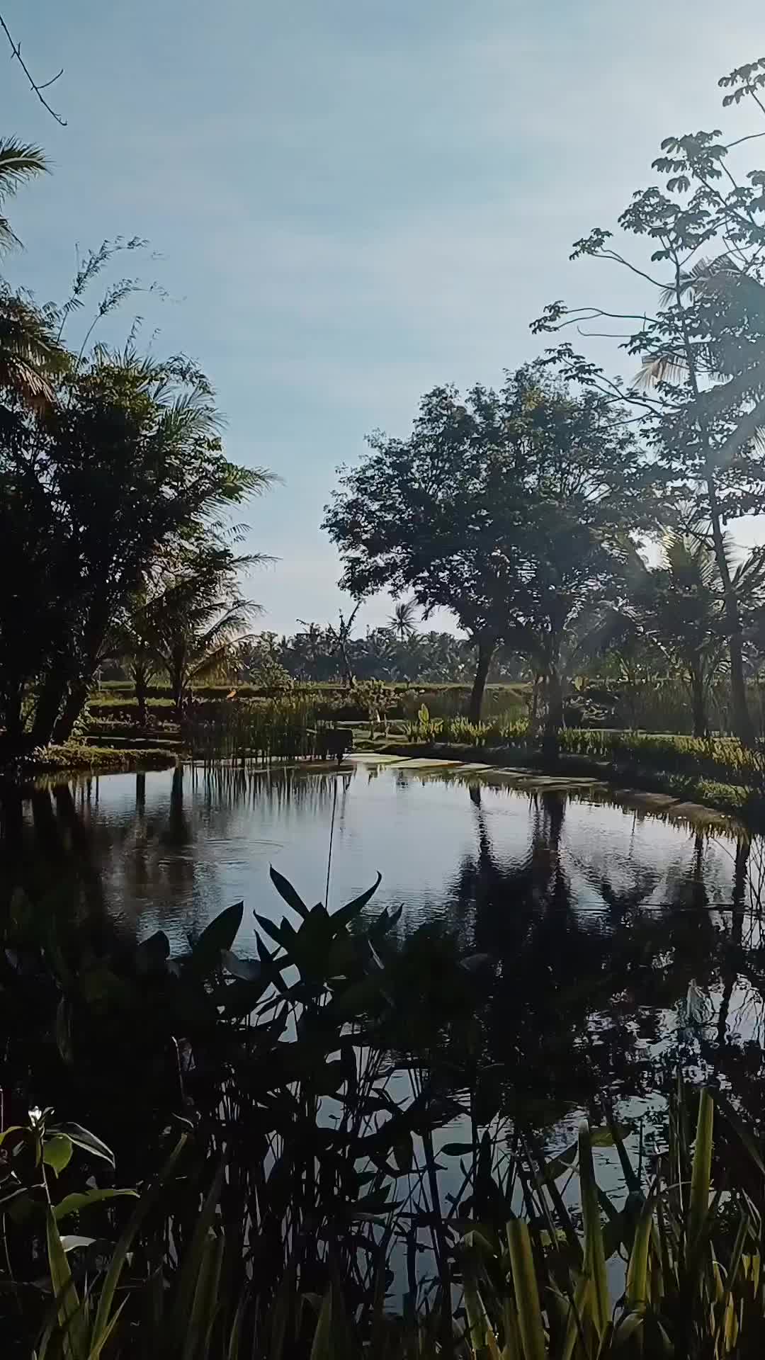 @Dianika