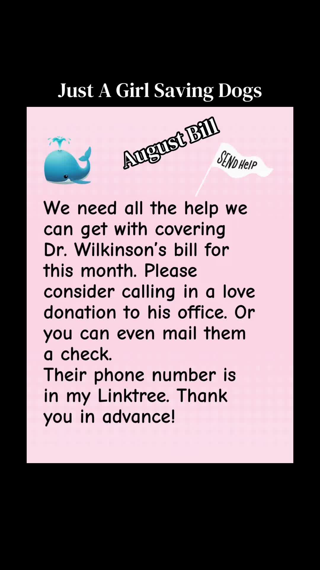 @Just A Girl Saving Dogs