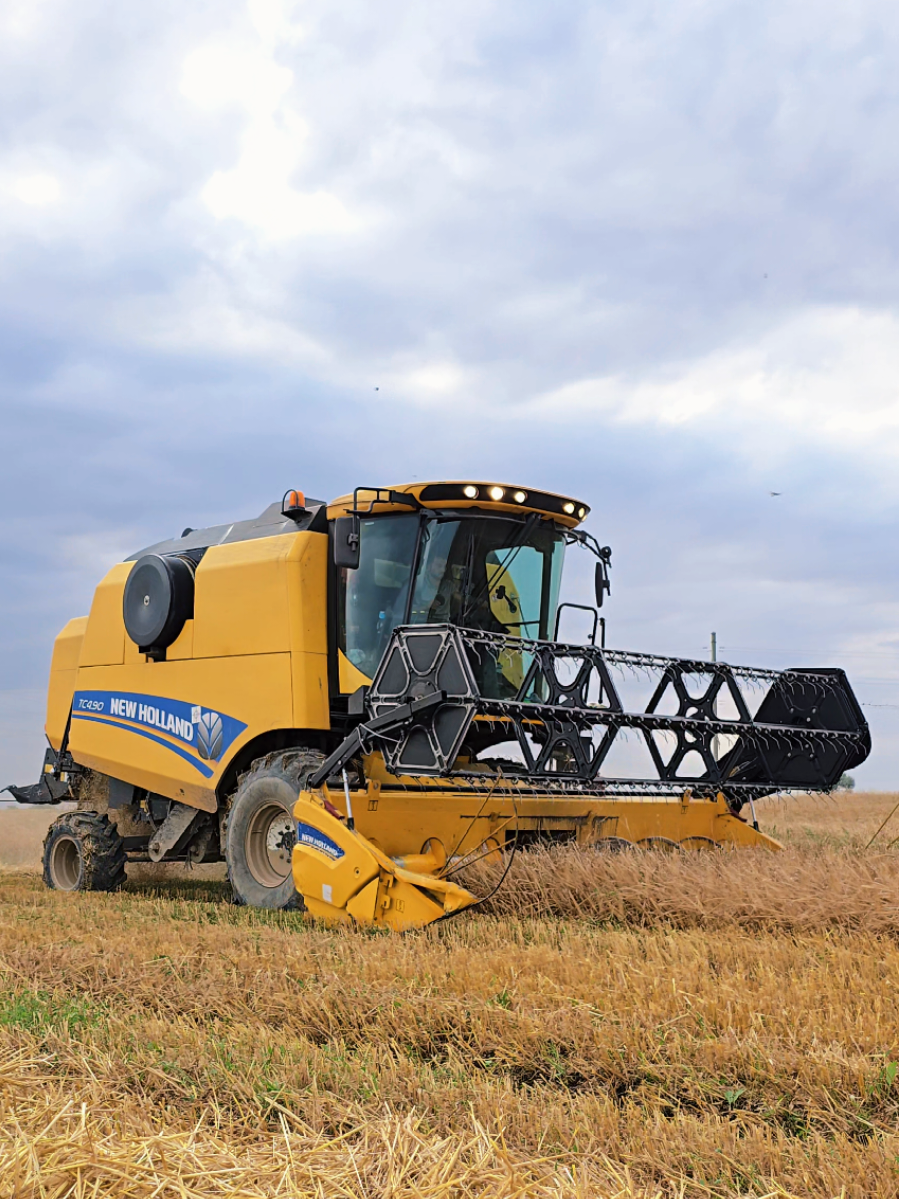 @Farmer ildırım