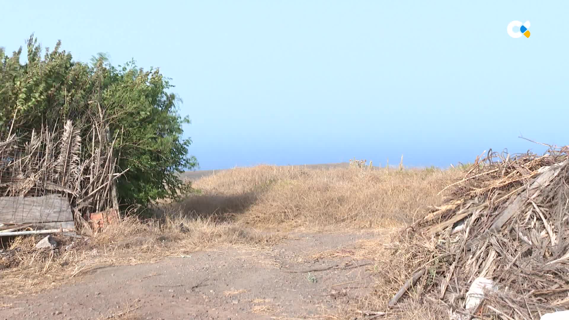 @Radio Televisi&oacute;n Canaria