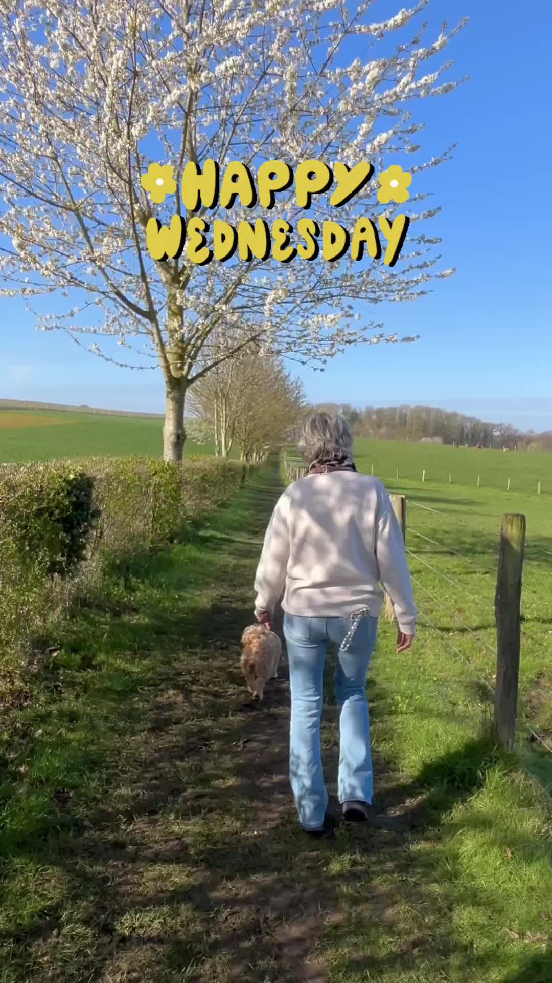 @Peter Franken 🦄