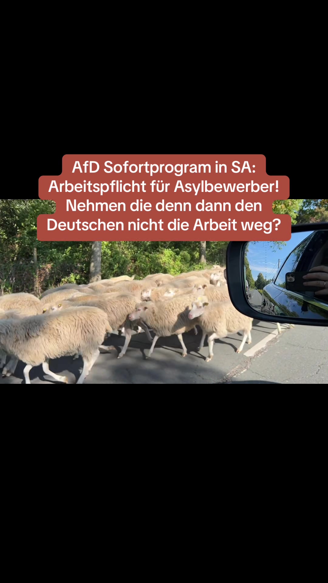 @Contra.AfD