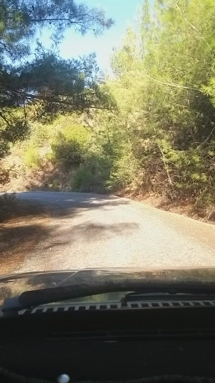 @Tuğba Nur Köroğlu