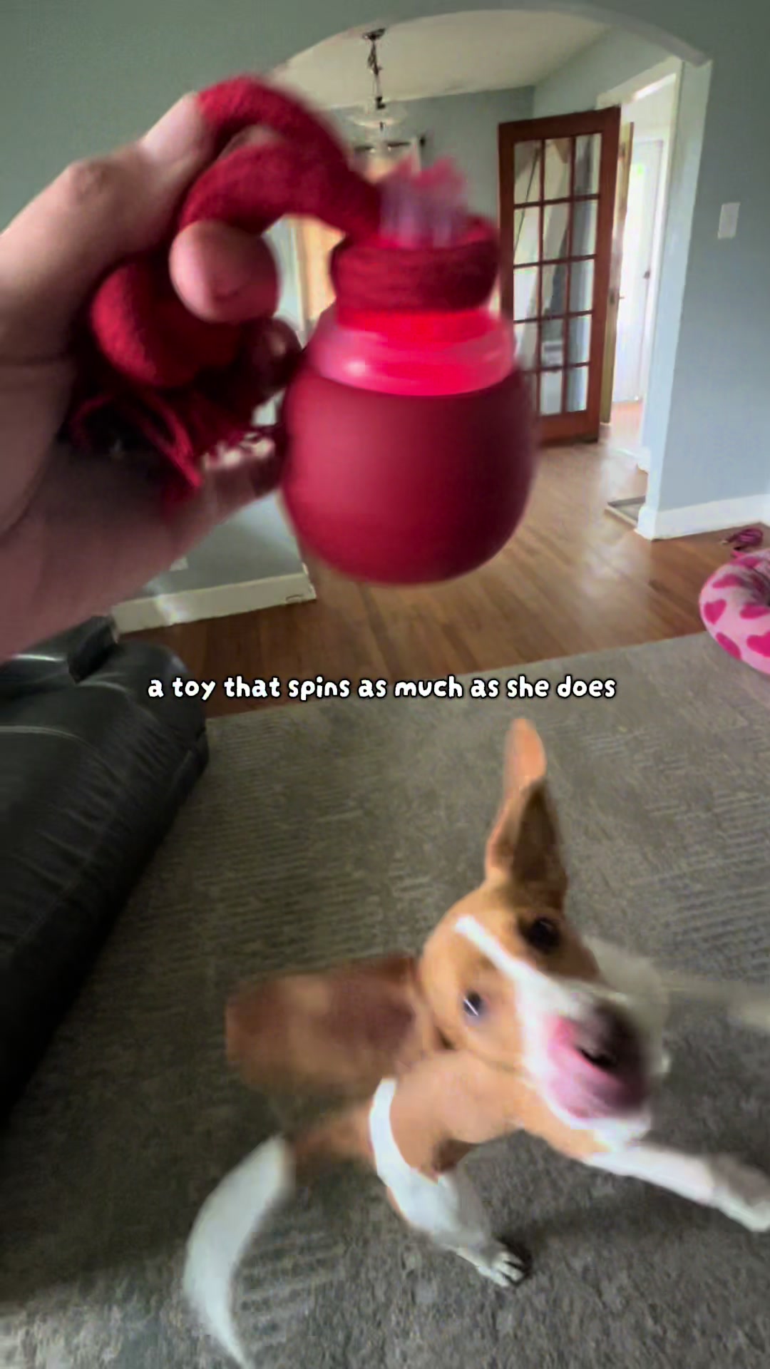 @Laura | Married With Dogs