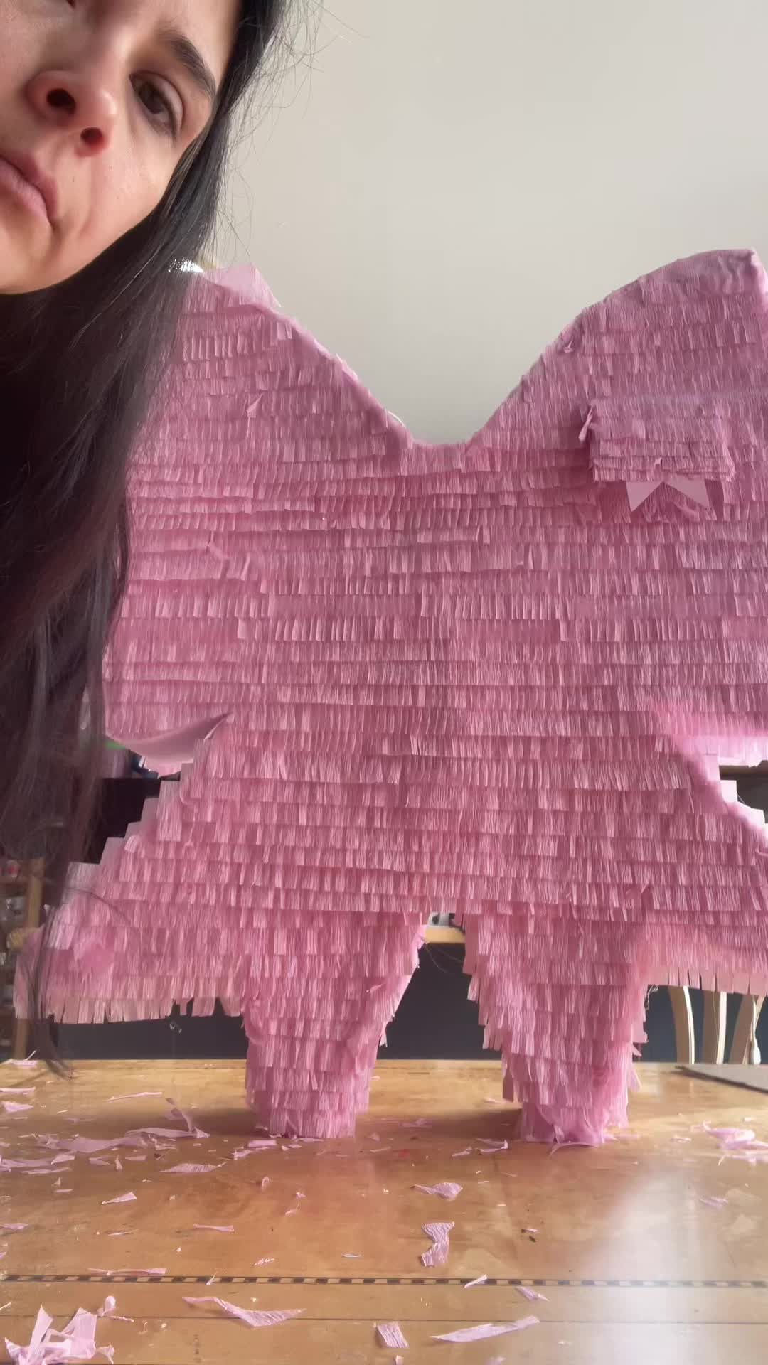 @ericas_pinata_bash