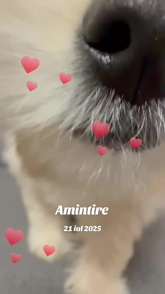 @Adina