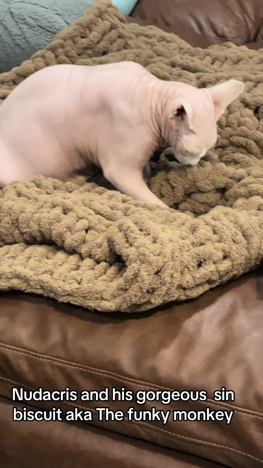 @Lisa Hampton Holder