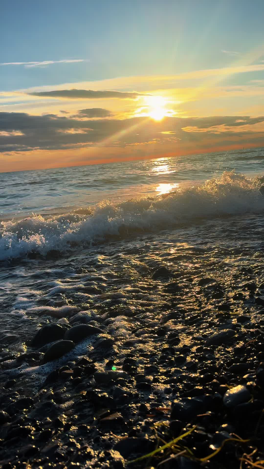 @Rügen Live