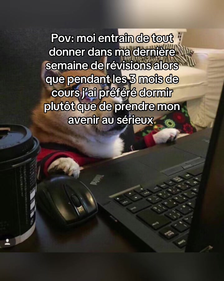 @ℳ𝒶𝒹𝒾