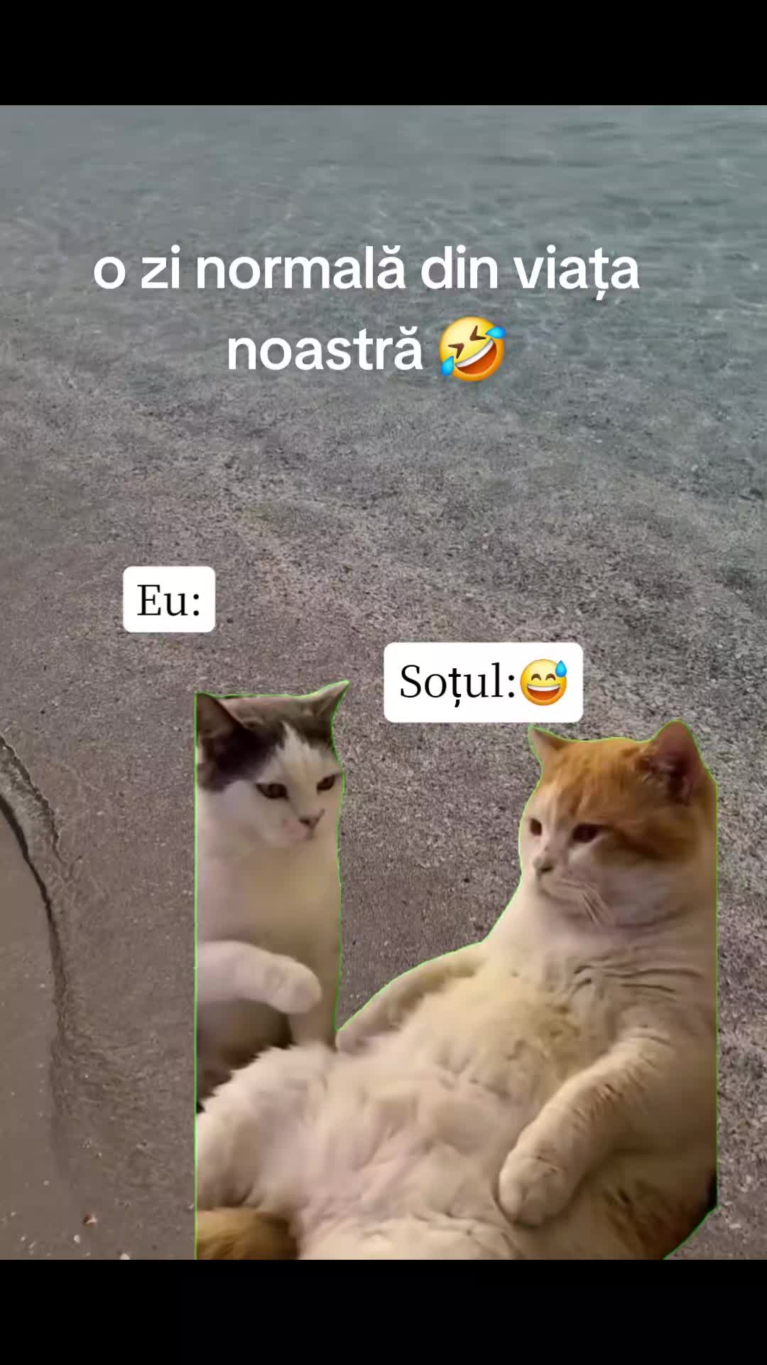 @Giorgïa Nā ♈️