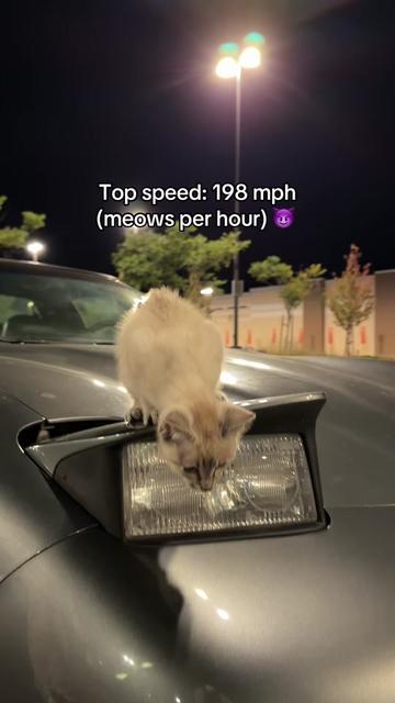 @nai