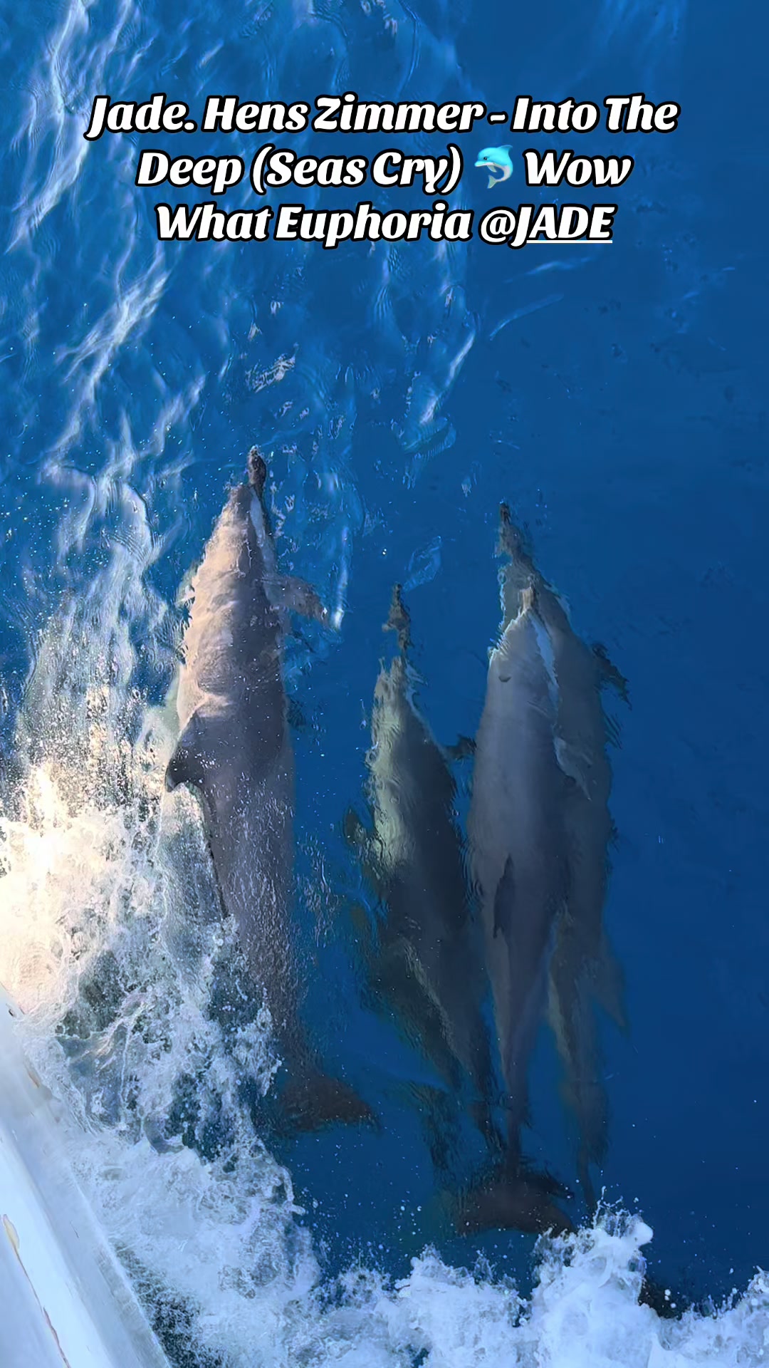 @frankie_k24