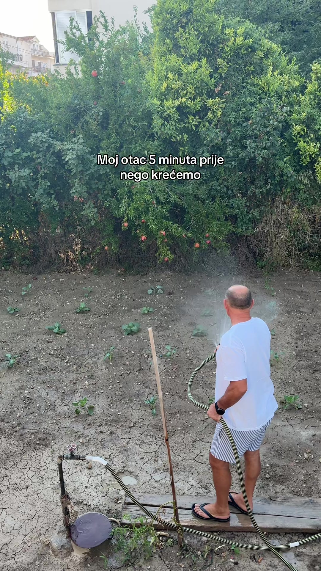 @Dora