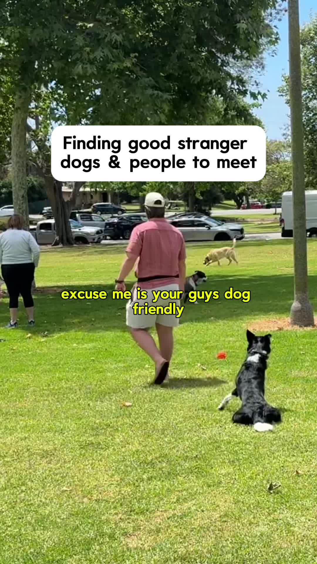 @forthedogs