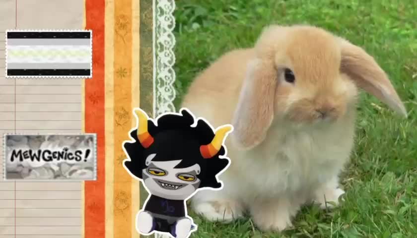 @alice (COMMS OPEN)