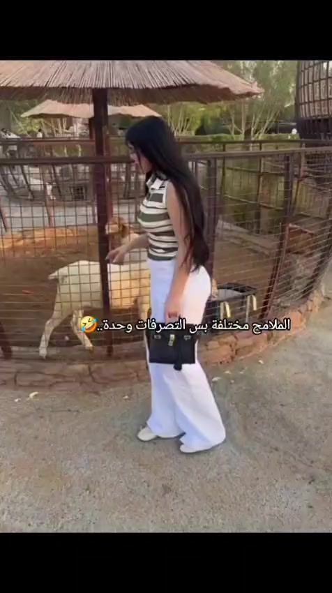 @Mona Saeed