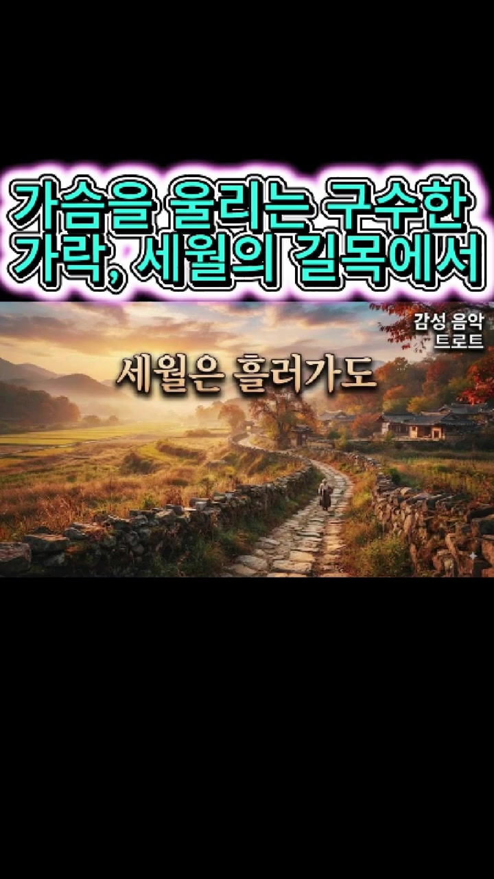 @감성 음악 트로트