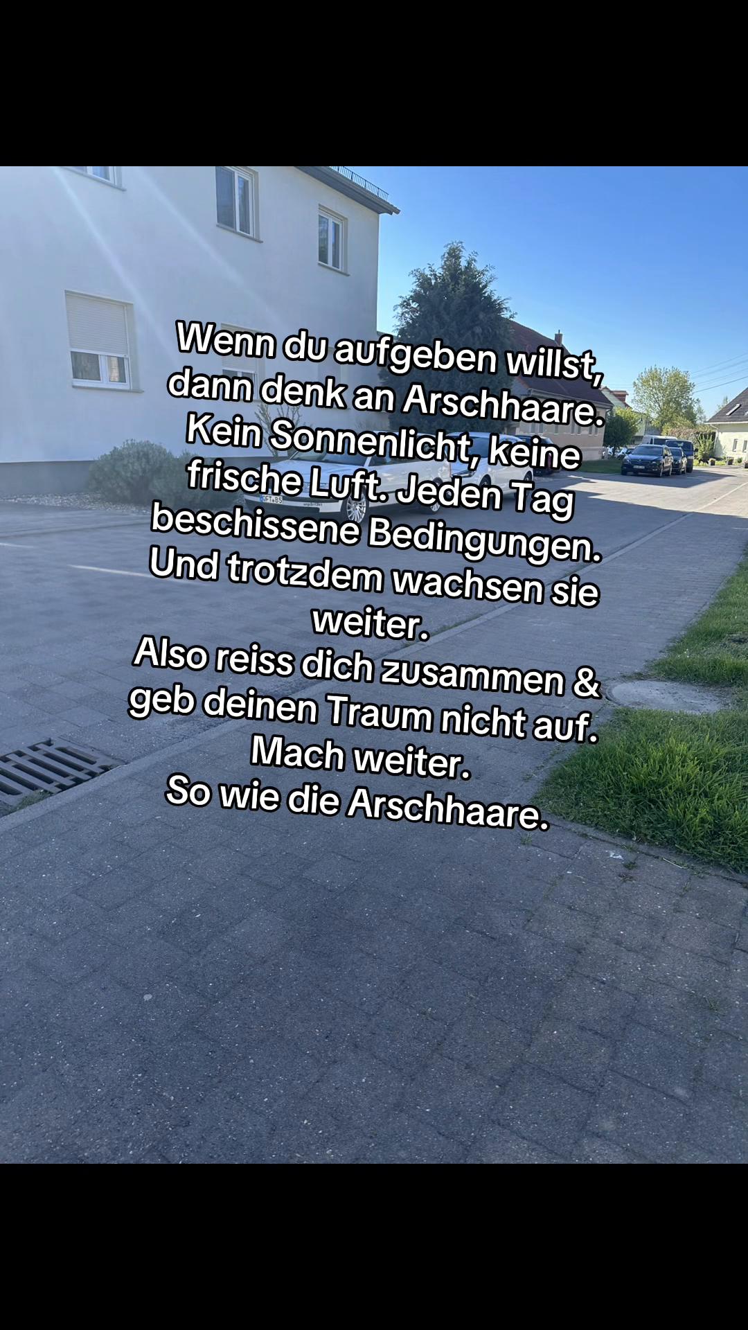 @3bvlkswgn