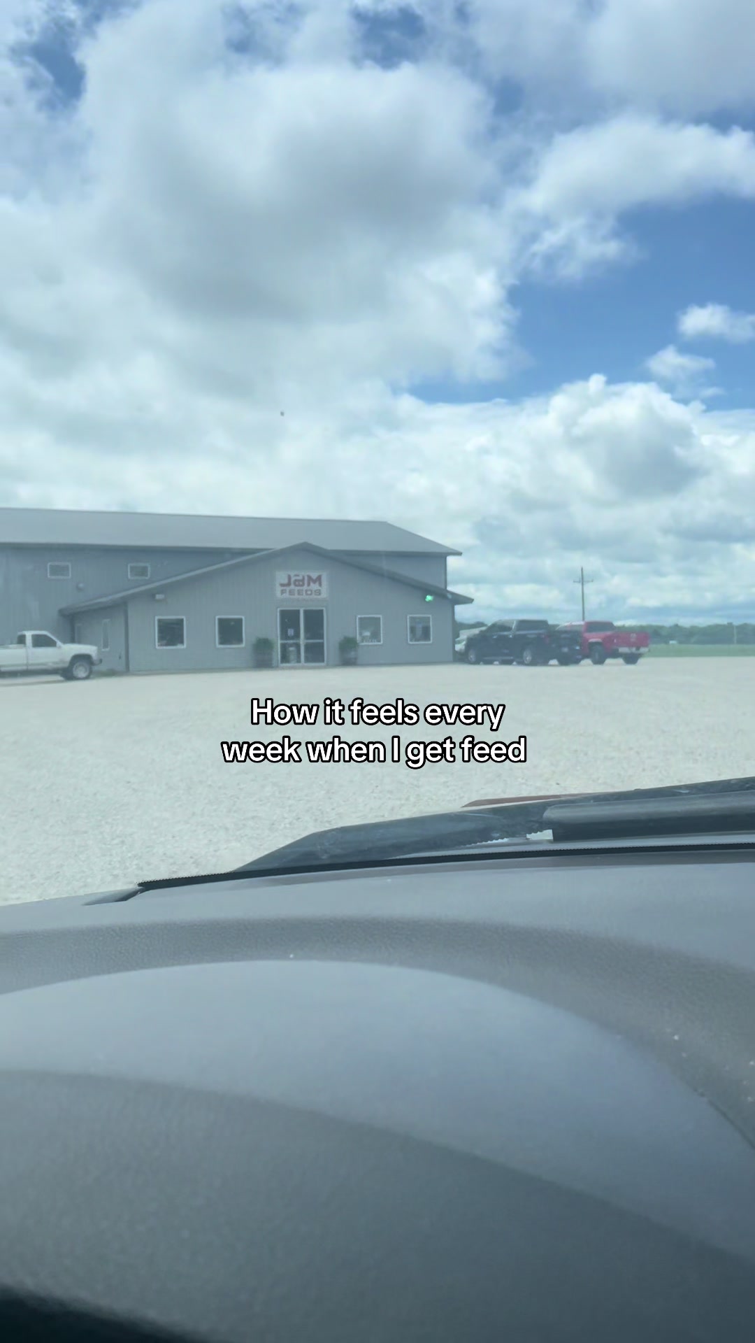 @Maple Leaf Livestock