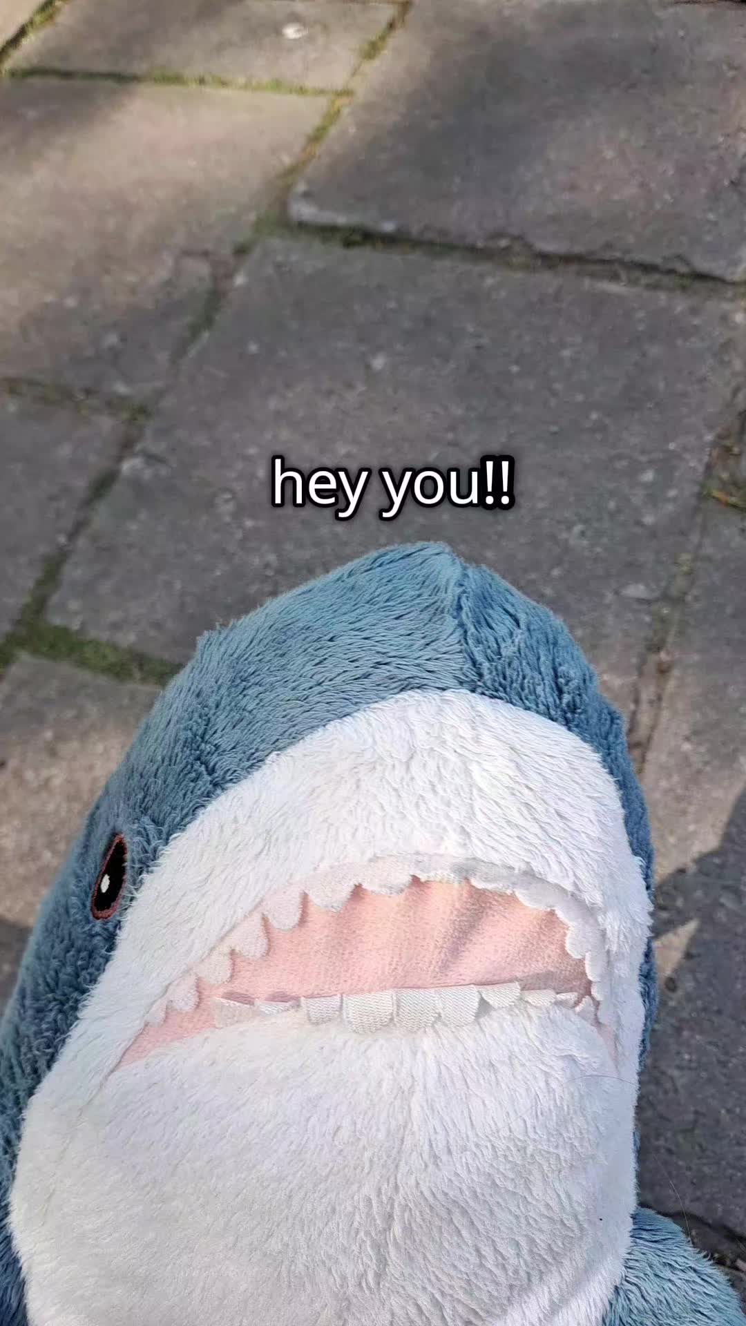 @Willie the Shark <3
