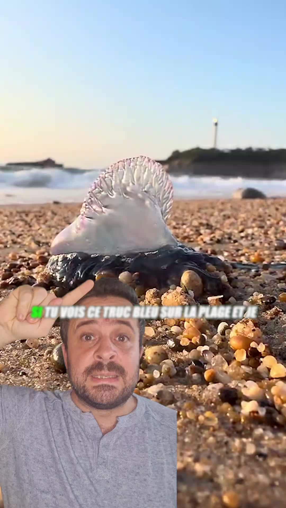 @Vico-Le Savais tu ?