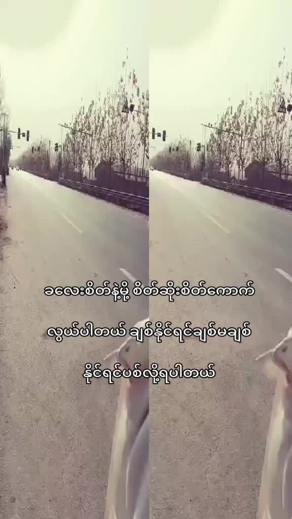 @☪ မိရှုပ် ☪( official )