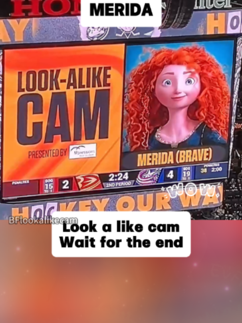 @fbmvlookalike