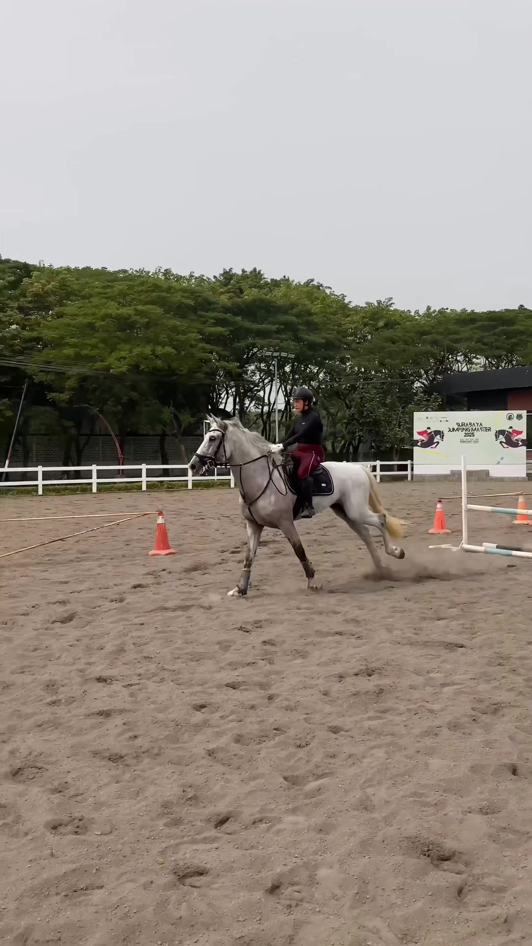 @Emporium Horse Club