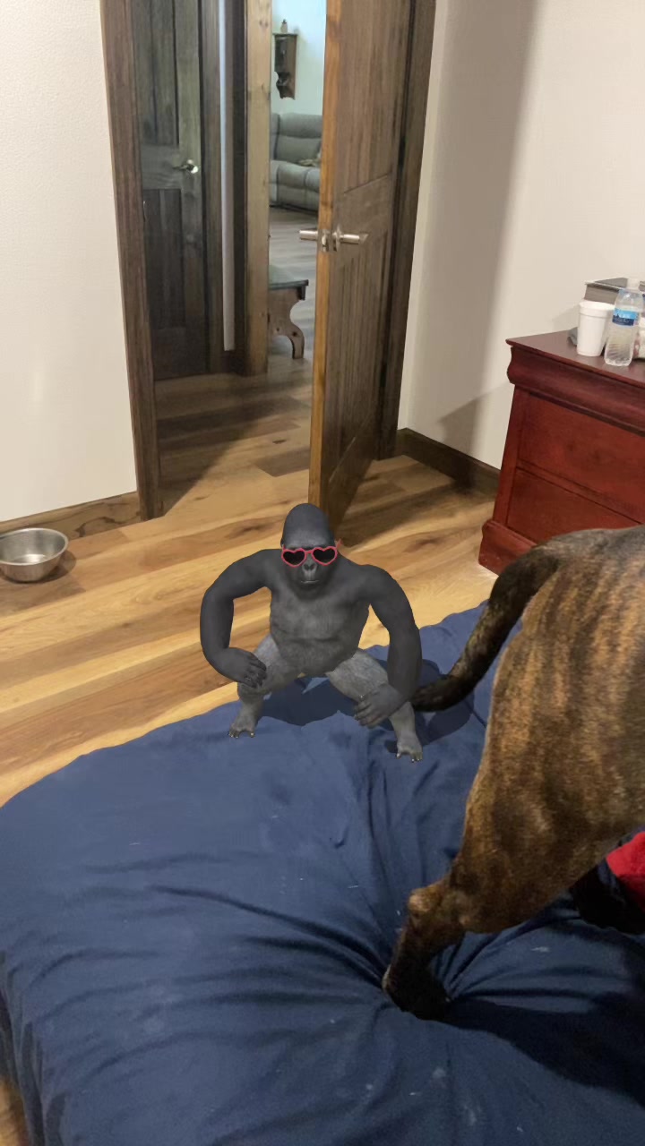 @gamerboy1233