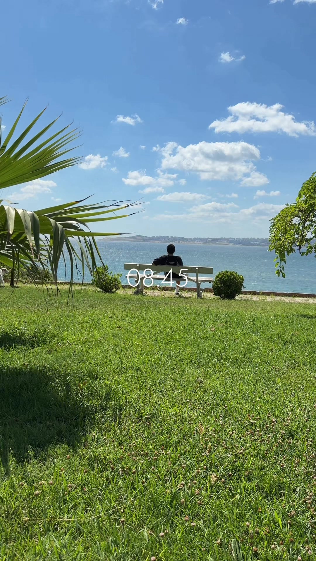 @Özgün Görkem