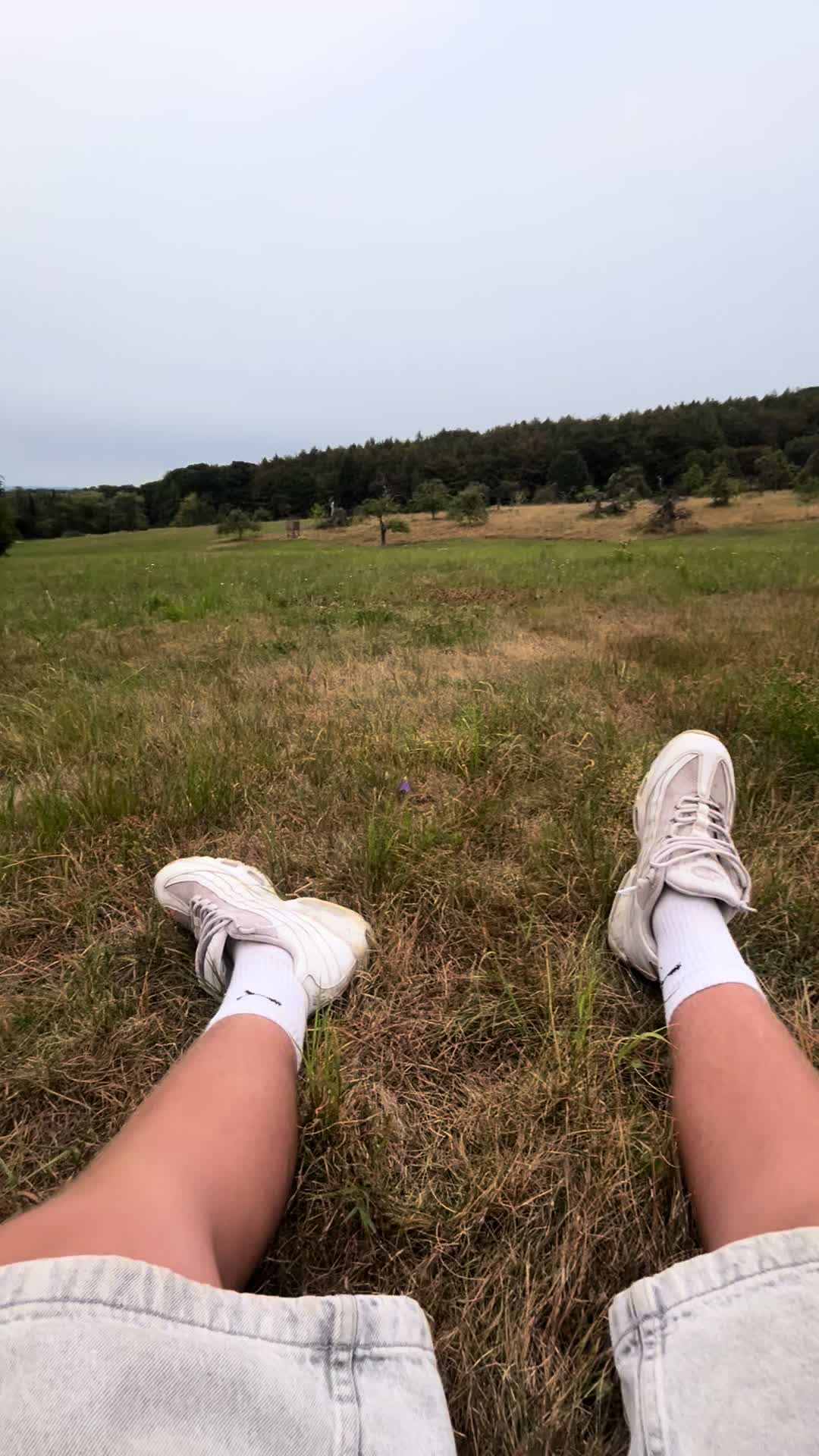 @Freeride_lion2