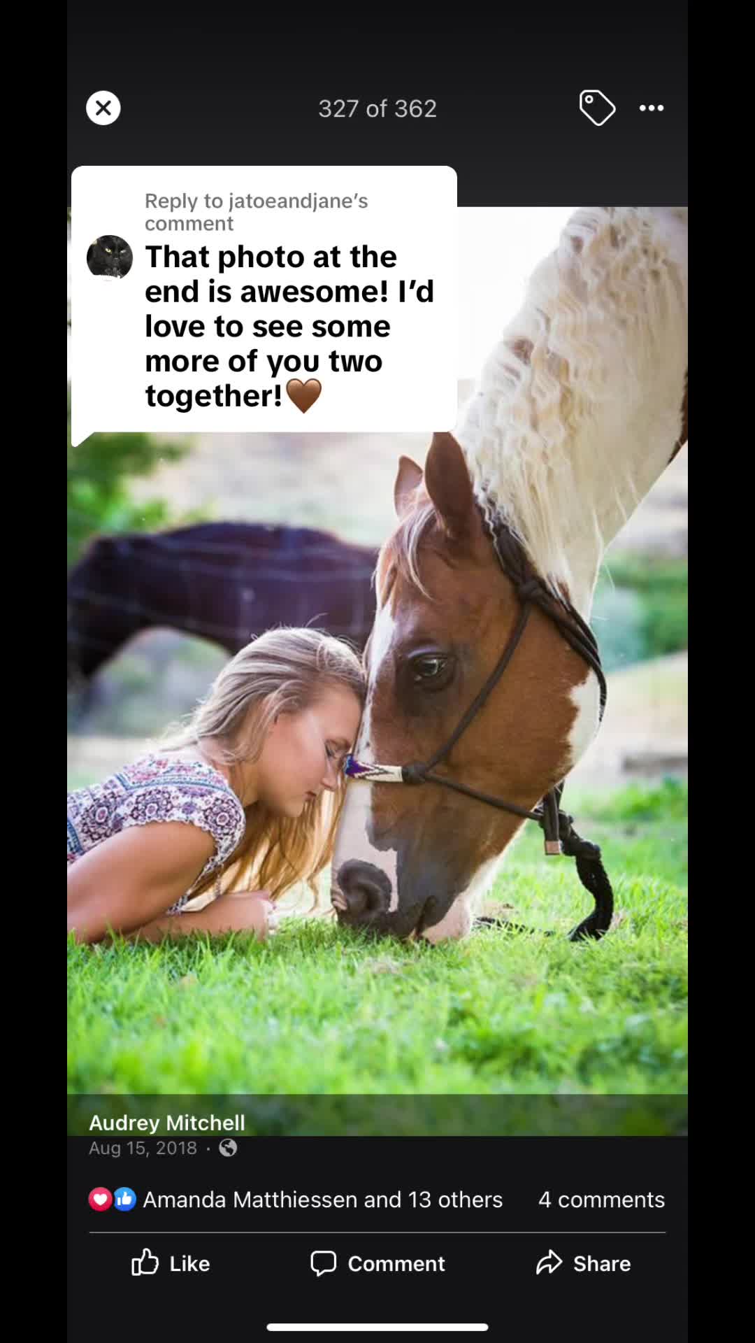 @Hot Sauce the Mini horse 🐎