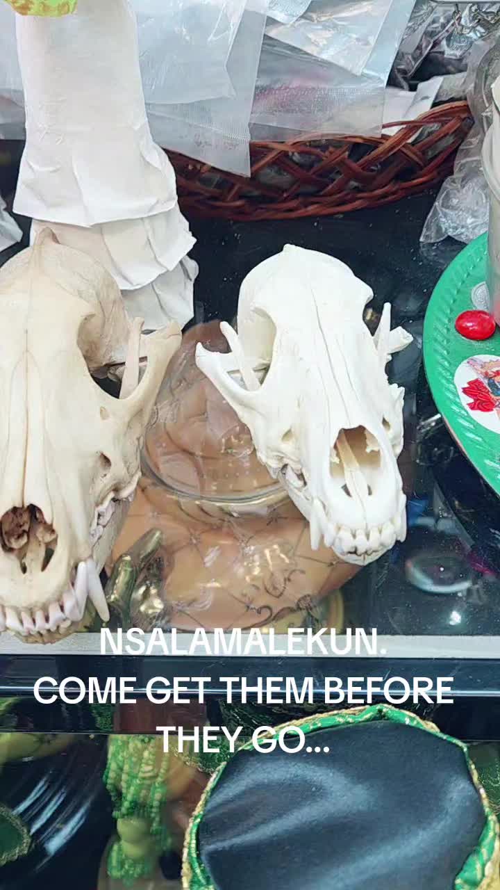 @House of Radiation Botanica