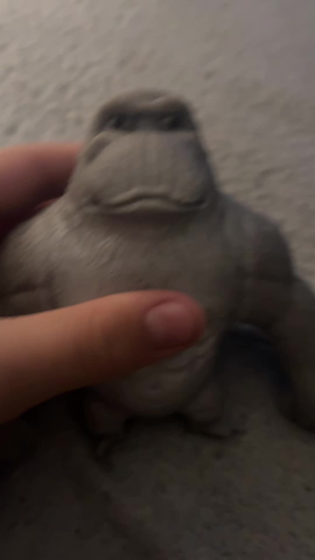 @Pappa_Pickle