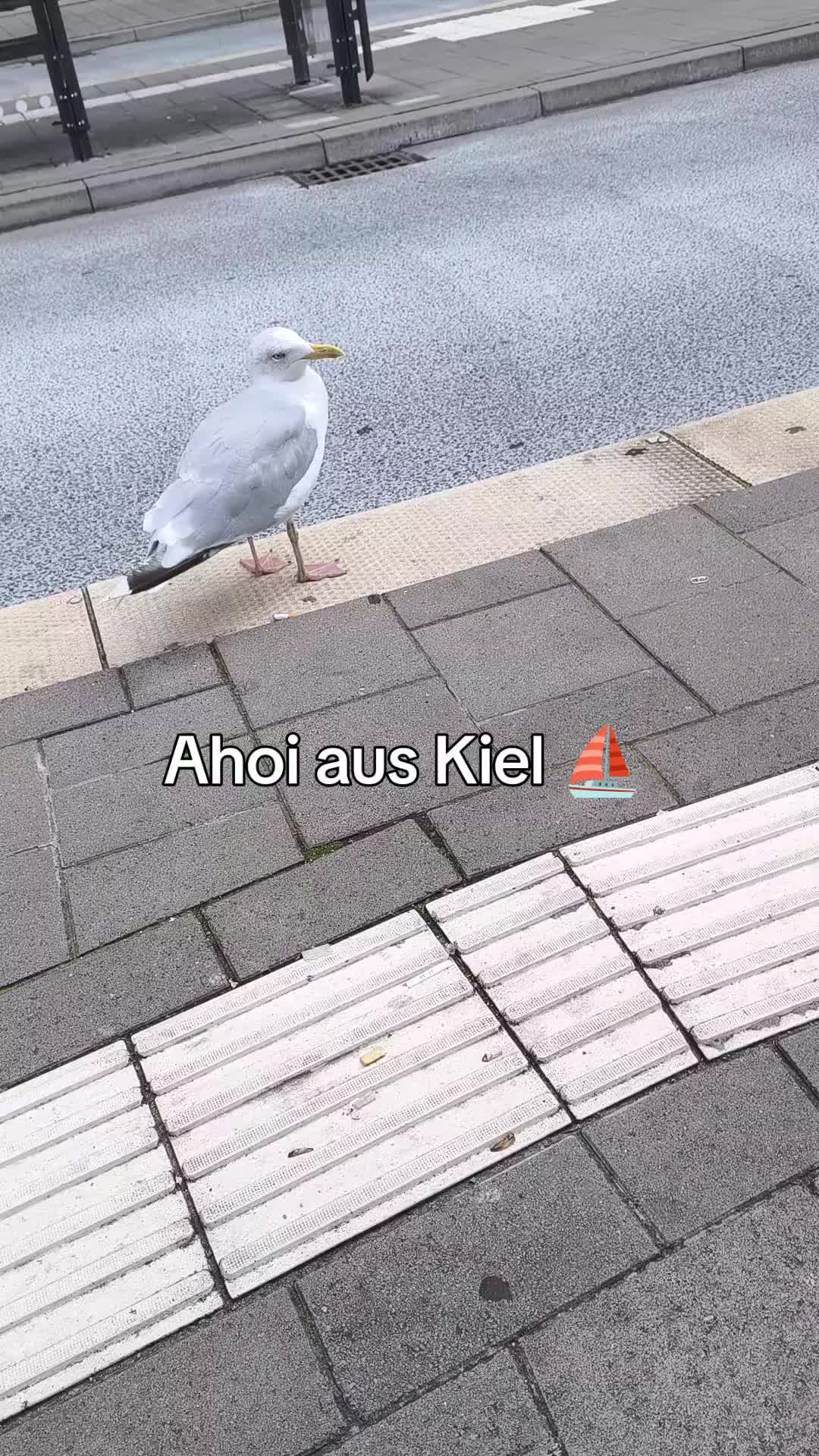 @Ahoi ⛵