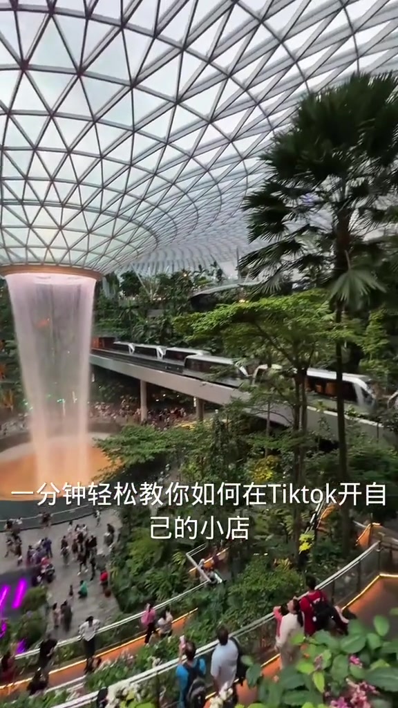 @tuitok跨境电商招商平台：立阳