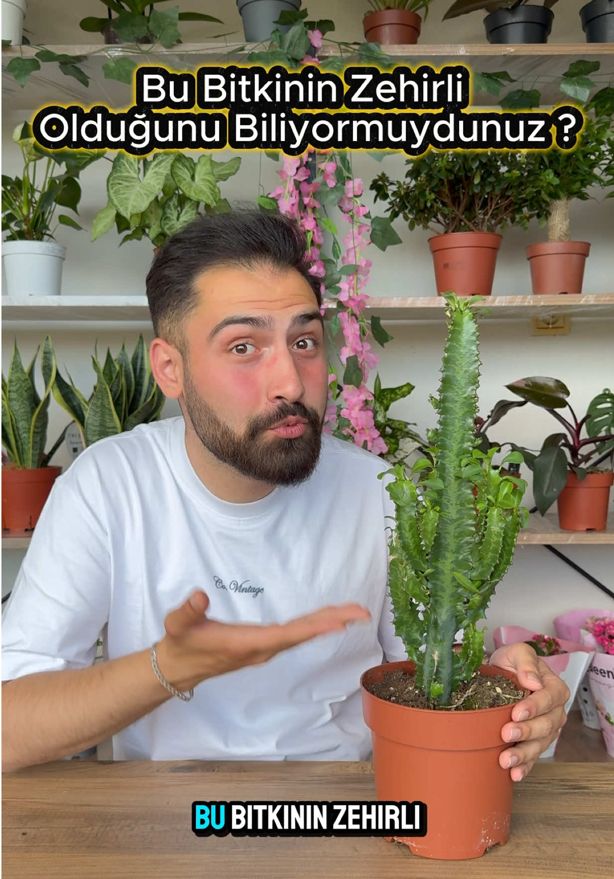@Saklı bah&ccedil;e Bitkileri