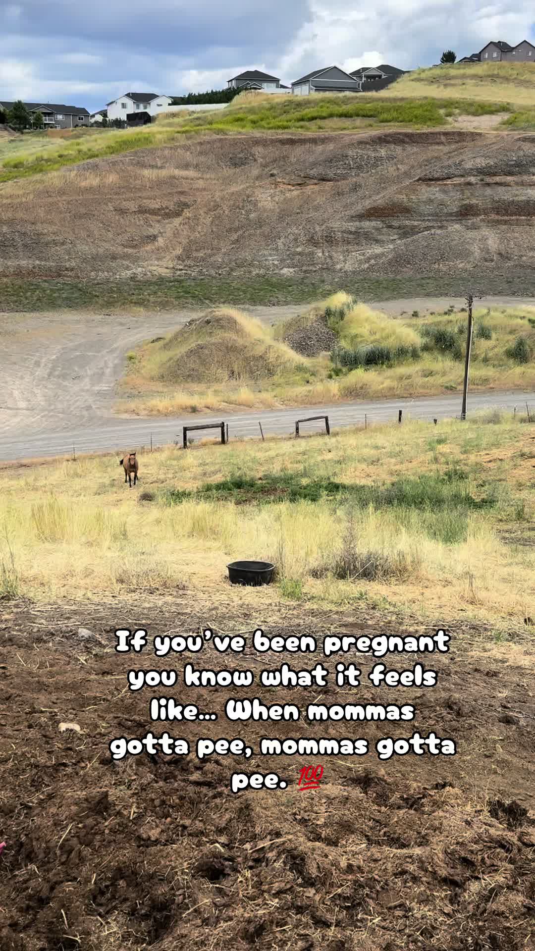 @Cowgirl Tuff Colt Training ❤️